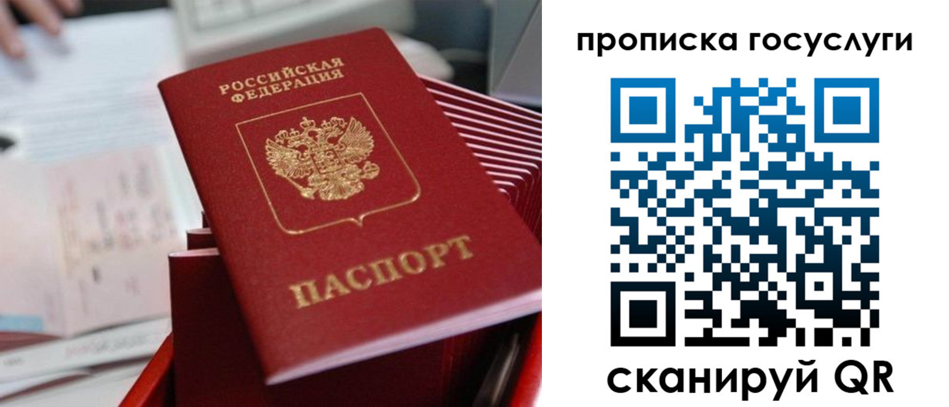 прописка законно в Россоши